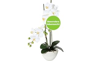 CREATIV green stilvolle Phalaenopsis Kunstorchidee 50cm in weiß I künstliche Orchideen wie echt mit Keramikschale in 14,5x8,5cm & naturgetreuen Blüten I Real Touch täuschend echte Kunstblumen