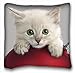 Produktbild Dekorative Baumwollleinen, quadratisch Tiere Katze Maulkorb S Blau Augen Schnurrbart, 45,7 x 45,7 cm Zwei Seite, Polyester-Mischgewebe, Muster 7, European