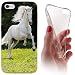 Produktbild iPhone 5 / 5s Softcase Hülle Aplle iPhone 5s Cover Backkover Softcase TPU Hülle Slim Case für Apple iPhone 5 / 5s (1019 Pferd Hengst auf Wiese Weiß)