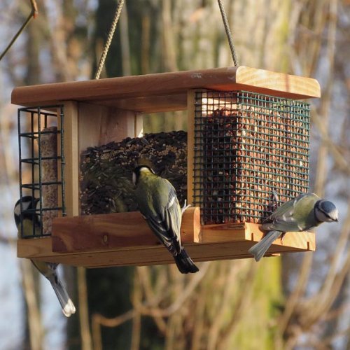 Preisvergleich Produktbild 3-Fach Futterstation aus rotem Zedernholz