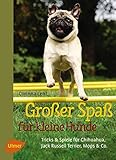 Buch-Cover Großer Spaß für kleine Hunde: Tricks & Spiele für Chihuahua, Jack Russell Terrier, Mops & Co.