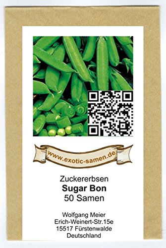 Zuckererbse – Sugar Bon – 50 Samen - 2