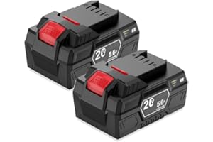 DREAMDASH 2X 20V 5Ah Batteria di Ricambio per Parkside PAP 20 B1 B3 A1 Compatibile con tutti gli attrezzi della serie Parkside X 20V Team