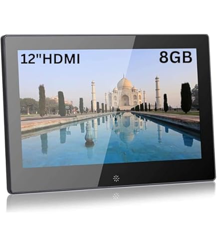 Roland P-10 Visual Sampler : Amazon.in: Electronics