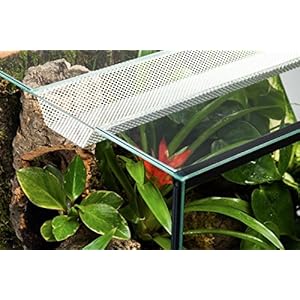 Diversa TERRASET Turtle 45 * 32.5 * 35 CM TERRARIO in Vetro per RETTILI Anfibi Tartarughe TECA RETTILARIO ACCESSORIATO Diversa TERRASET Turtle 45 * 32.5 * 35 CM TERRARIO in Vetro per RETTILI Anfibi Tartarughe TECA RETTILARIO ACCESSORIATO - immagine 7