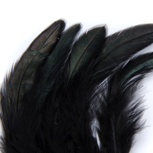 150 Stk. gefärbt Dekor Hahn Feder Hut Fan Schwarz - 5
