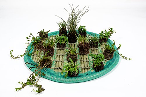 Pflanzinsel inkl. 15 winterharten Teich-Pflanzen, rund, 60 cm – schwimmende Teichinsel mit Teichbepflanzung – Algen reduzieren in Koi-Teich durch Schwimmpflanzen auf Pflanzeninsel - 2