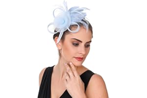 HAOJING Fascinator Hat Feather Mesh Net Veil Party Hat Ascot Hats Flower Derby Hat with Clip and Hairband for Women