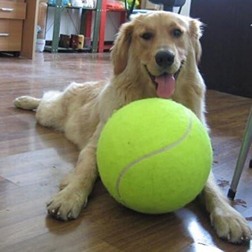 CITICITY Large 9.5 inch Tennis Ball For Dog Pet Toys Outdoor Sports for Trainer Signature