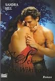 Cover zum Buch Der Schwur des Wikingers
