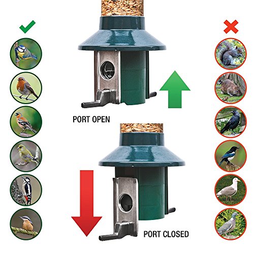 Eichhörnchensichere Vogelfutterstation-Mix PestOff Seed feeder-Neuware - 6