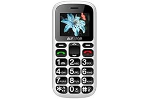 ALIGATOR A321 Téléphone Portable pour Personnes âgées avec Bouton SOS et localisateur Gris