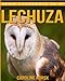 Produktbild Lechuza: Libro de imágenes asombrosas y datos curiosos sobre los Lechuza para niños (Serie Acuérdate de mí)