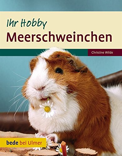 Download Ihr Hobby Meerschweinchen Download Ihr Hobby Meerschweinchen