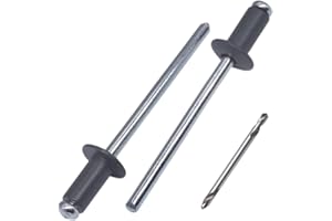 SKIR'CO 100 remaches ciegos pintados de 4,0 x 8 mm, DIN 7337, cabeza de cúpula, mandril de acero, remaches pop (gris antracita RAL 7016)