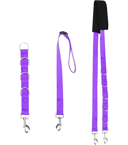 Laccio Da Toeletta Per Cani - Noose Amzi PRO Con Imbottitura - Motivo Zampe, Blu Ciano, 40cm - Foto 11