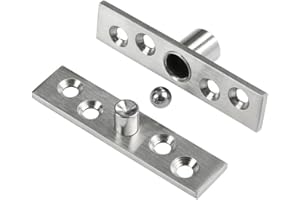 HEUSKAY 2 cerniere girevoli a 360°, in acciaio inossidabile, cerniere girevoli nascoste per porta centrale, 100 mm x 23,7 mm