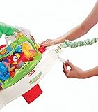 Fisher-Price Baby Gear – K7198 – Rainforest Jumperoo - 12
