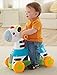 Fisher-Price Y6985 Rollin Tunes Zebra