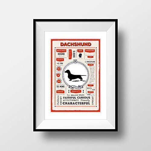 Dachshund Art Print, Dachshund Breed Traits Print, Dog Infographic Poster, Dachshund Gift Idea, Dog Wall Art, Print in Letterbox Red or Sea Green …