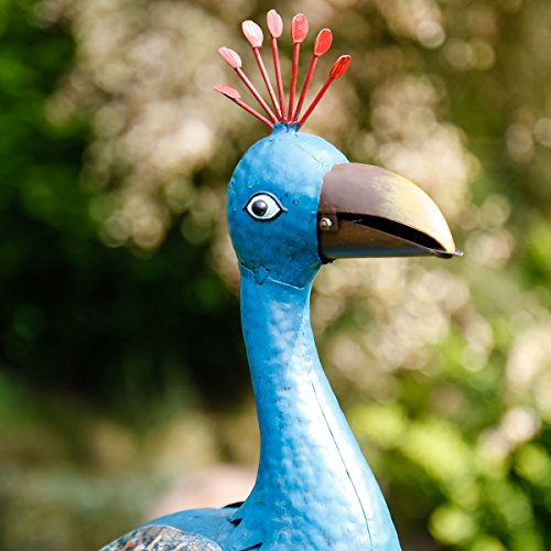 Brunnenspiel Pfau Hansi - 3