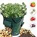 Produktbild Cracklight Kartoffel Grow Bag 15-Gallonen-Klettverschluss Doppelfenster Gemüse Grow Bag Gartenabfallsäcke mit Klappe und Griffen