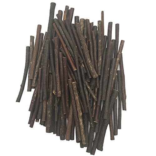 gabbrein 100 Stück Holz Sticks Pet Snacks Kauspielzeug für Meerschweinchen Chinchilla Eichhörnchen Kaninchen Parrot & DIY Holz Log Sticks für Crafts Foto Requisiten Dekoration L - 2