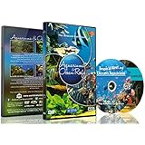 Aquarium DVD - 2 DVD Set Aquariums &amp; Ocean Reefs with Colorful Corals &amp; Fishes