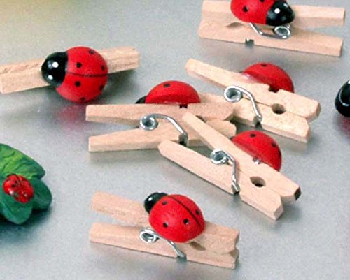 be4To®72STÜCK MARIENKÄFER HOLZKLAMMER DEKO KLAMMER - GLÜCKSBRINGER HANDARBEIT MEMOCLIP