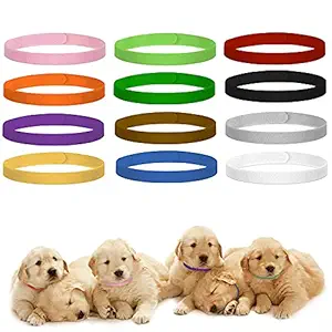 Petworld Adjustable Reusable Puppy Identification ID Collars Pet Bands 12 in 1 Set (Multicolor)
