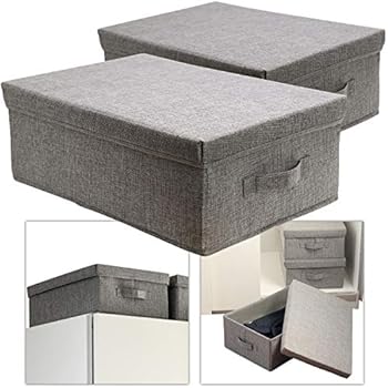 Bigso Box of Sweden mittelgroße Aufbewahrungsbox mit Deckel und Griff