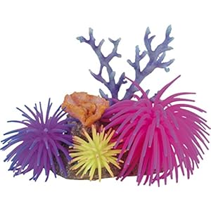 Haquoss Reef Fantasy 11, 15x 10x 13.5H cm