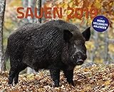 Sauen 2019: Die Krone der Jagd by 