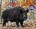 Sauen 2019: Die Krone der Jagd by 
