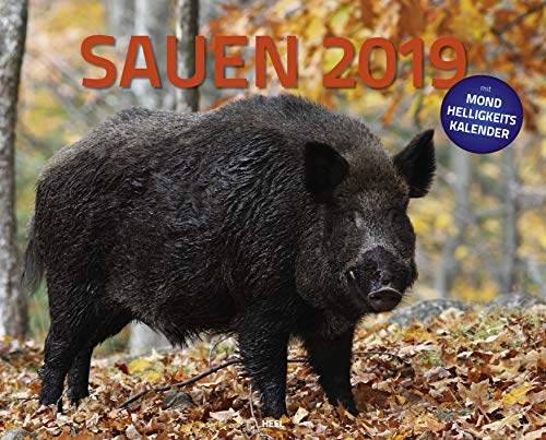 Sauen 2019: Die Krone der Jagd