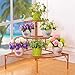 Produktbild BWHTY Eisen Kunst Multi-Layer-Blumen-Stand-Ecke BlumenTouml,pfe Leiter Rack Indoor Wohnzimmer Balkon Pflanze Display Rack - L84 &Times, W60 &Times, H60CM (Farbe : Gold)