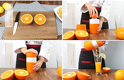 Trenta Küche Manuelle Saftpresse Fruit Lemon Lime Orange Squeezer – 16,9 oz/500 ml Behälter – POUR Auslauf – Perfect Entsafter Tasse für Kinder - 4