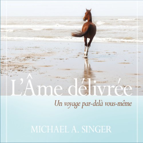 Download L'Âme délivrée: Un voyage par-delà vous-même Download L'Âme délivrée: Un voyage par-delà vous-même