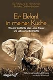 Ein Elefant in meiner Küche: Was mir die Herde über Liebe, Trauer und Lebensmut beibrachte by Francoise Malby-Anthony, Katja Willemsen