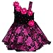 Wish Karo baby girls Party Wear Frock Dress DN fe1102pk-12-18 Months RS.849.00