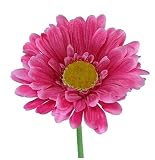 Una excelente flor para casa, sepultura, bodas y otras funciones