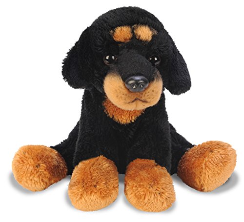 Yomiko Rottweiler (Small)
