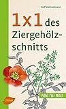 Image de 1 x 1 des Ziergehölzschnitts: Bild für Bild