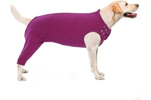 PUMYPOREITY Dog Medical Suit, Recovery Suit for Male Dogs, Purple-red, L