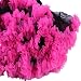 Tortoise & Rabbit Baby Girls' Fluffy Pettiskirt Tutu Skirt (M, Black Rose Red)