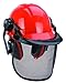 Einhell Forstschutzhelm BG-SH 1 (klappbarer und verstellbarer Gesichtsschutz, Gehörschutz)