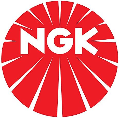NGK 48230 Ignition and Heating System