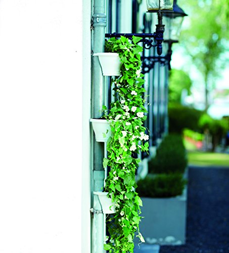 elho Corsica Regenrohr Pflanzgefäss 24cm – Anthrazit - 4