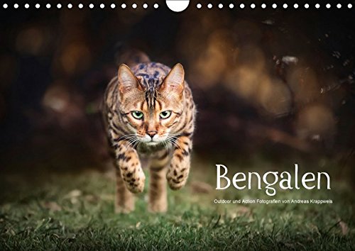 Bengalen Outdoor und Action (Wandkalender 2018 DIN A4 quer): Bengalen, die kleinen Leoparden in freier Natur (Monatskalender, 14 Seiten ) (CALVENDO Tiere)