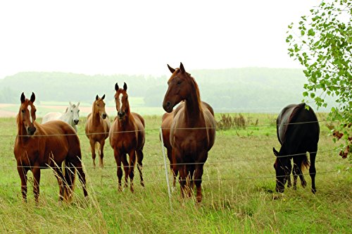 12V 230V Weidezaungerät „HELOS 4“ von VOSS.farming, Batteriegerät Netzgerät – Perfekte Hütesicherheit - 4